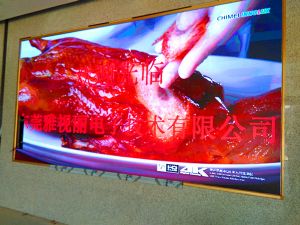 P4、P5、P6室內工程案例